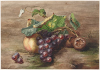 EE 008
<br/>
Tros druiven met tak, blad, perzik en mispels
<br/>
<em>Buyskes, Johanna Helena (1840 - 1869)</em>